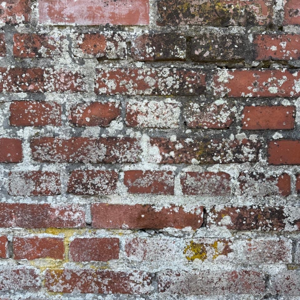 2025-10-07 15.22.56 (1) (1)